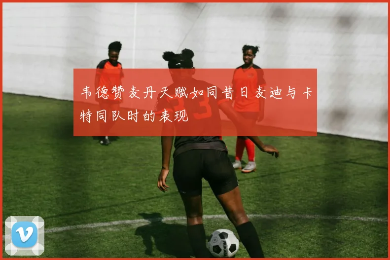 韦德赞麦丹天赋如同昔日麦迪与卡特同队时的表现