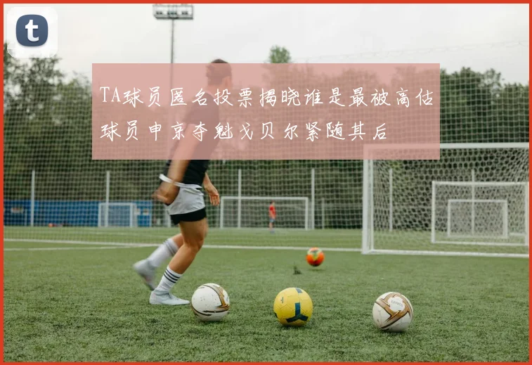 TA球员匿名投票揭晓谁是最被高估球员申京夺魁戈贝尔紧随其后